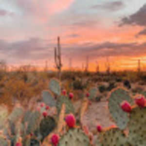 Meet your Posher, Gentry